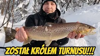 Zrobił to! Kolejny raz! W tym samym miejscu!