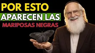 ¡CUIDADO! Si Ves una MARIPOSA NEGRA en Tu Casa NO la MATES SABIDURIA JUDÍA