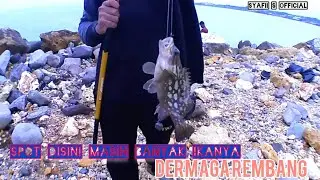 spot dermaga rembang mancing kerapu pinggiran, mancing kerapu di pinggiran