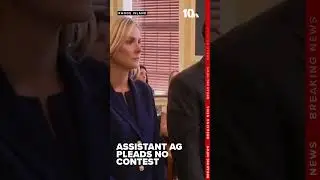 Assistant Attorney General Devon Hogan Flanagan pleads no contest