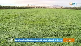 حوض ملوية.. التساقطات المطرية الأخيرة تعطي دفعة قوية لزراعة الحبوب الخريفية