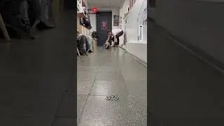 Барсук Юра Любит Кататься по Полу 🦡
