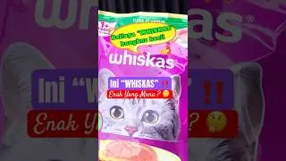 This is &ldquo;WHISKAS&rdquo; ‼️ Which one is delicious? 🤔