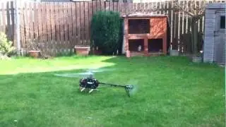 Align T-Rex 600 EFL Pro - First Flight