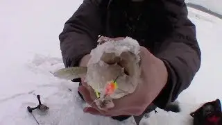 2016-2017 Ice Fishing Season Highlights