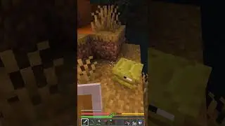 Can we survive 100 days in Cobblemon 1.7? 🤔 #minecraft #cobblemon #pokemonminecraft