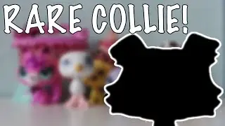 LPS: Package #2- Rare Collie!