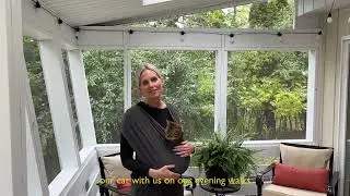 Real customer reviews for AnccoPlus Pet Carrier