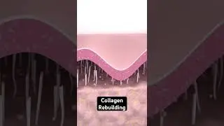 Collagen Rebuilding- Skin Tightening #skin #viral #shorts