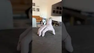 The Addams Family but it&rsquo;s Dalmatian barks instead of snaps. #addamsfamily #dalmatian #dog #dogs