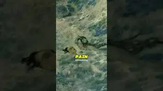 The Saddest Ending Disney Never Told You 😭