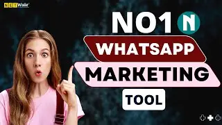 NETWALE WBS V.2.6.4 - WhatsApp Bulk Sender