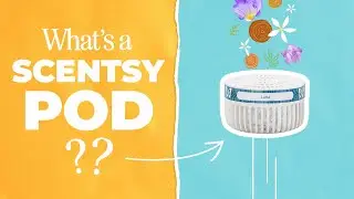 What is a Scentsy Pod and what makes them great for home fragrance?