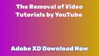 Installing Adobe XD on Windows 2024: Quick Setup