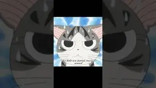 Part1: Chi&rsquo;s Sweet Home ：Whatever made you sad today, let this little kitten heal it all.