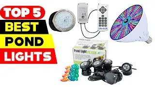 Top 5 Best Pond Lights Reviews of 2024