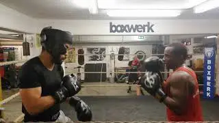 Geministic Swagg Sparing. Boxwerk, München. 16-01-2019