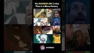Egghead Arc is a Meme Factory
