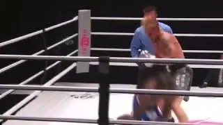 Nate Robinson knocked out