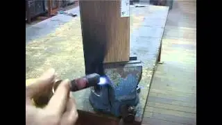 Biowood Burning Test