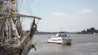 Tall Ships Race 2016 Antwerpen (in HD groot scherm)