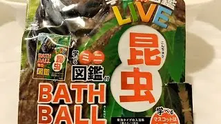 BATH BALL　昆虫　炭酸ガス入浴剤　Japanese bath bomb　Insect mascot