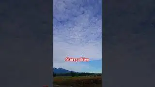Starry Skies #starryskies #shortvideoviral #youtubeshort #jeicampz