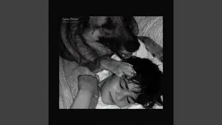 sweet dreams