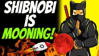 SHINJA IS MOONING! SHIBNOBI ARMY SHOULD SEE THIS (SHINJA PRICE ANALYSIS & PREDICTION)