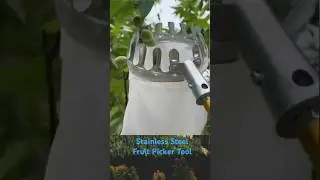 Stainless Steel Fruit Picker Tool #gardening #fruitpicker #farming #toolstore #fruitharvesting
