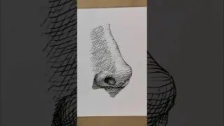 Pen Drawing Nose with Cross-Hatching #drawing #sketch #tutorial #art #painting #penart #artist #ink