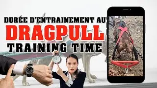 DRAGPULL : Dur&eacute;e d'entrainement  [ Sous-titres MULTI ]