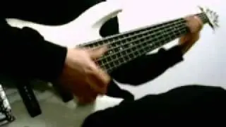 MISTY LADY (CASIOPEA) Bass Cover