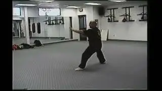 Kosho Ryu Kempo Pinan 1 & 2 (Instructional)