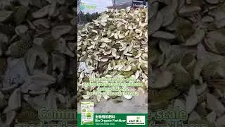 Bio-organic fertilizers, a large number of durian shells are just one of them [CityVege] #shorts