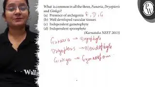 What is common in all the three, Funaria, Dryopteris and Ginkgo? (a) Presence of archegonia (b) W...
