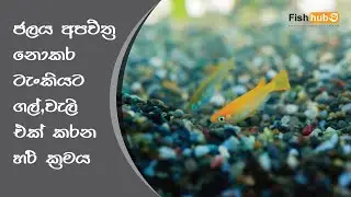 HOW TO: add Gravel / Sand To a Fish Tank | Sinhala |