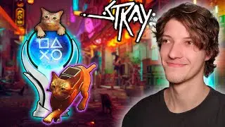 A FOFÍSSIMA JORNADA DA PLATINA DO STRAY (JOGO DO GATO)  - REVI PLATINA (RTP)