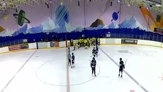 Hornets vs. FV Kings - Planet Ice Coquitlam Rink #2 - April 18 11:15am - Part 2