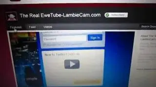#144: Lambie's New Channel Layout - LambCam