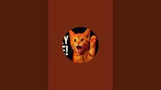 catzone by syed is live