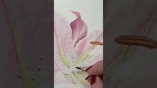 Paint a Lily in Watercolour 🌸 | Free Botanical Demo #painting #watercolourflorals #arttutorial