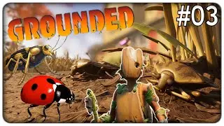 ANDIAMO A CACCIA DI PERICOLOSI INSETTI ED INFILTRIAMOCI IN UN FORMICAIO | Grounded - ep.03