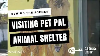 Behind the Scenes: DJ Soucy Visits PetPal Animal Shelter in St. Pete