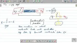 ester formation and naming o level