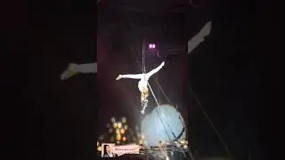 Цирковое шоу Олег Спигин штейн-трапп
