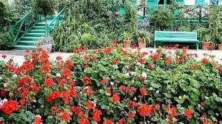 Beautiful flower garden - France, Giverni - Claude Monet House