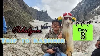 7. Pahalgam #pahalgamattack #triptokashmir 