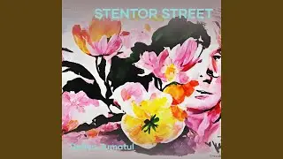 Stentor Street