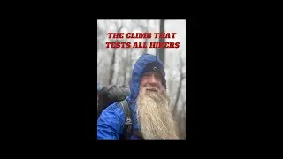 The Climb That Tests All Hiker! Surviving Amicalola Falls To Springer Mtn